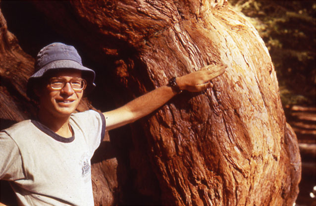 Close-up of man standing next to Sequoia tree, showing thick bark
