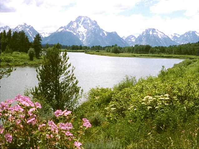 Oxbow Bend with view of Mt. Moran and other Tetons in the background