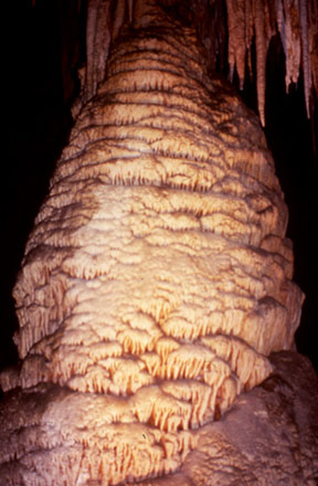Close-up of a roughly 20-foot-high cave formation in Carlsbad Caverns