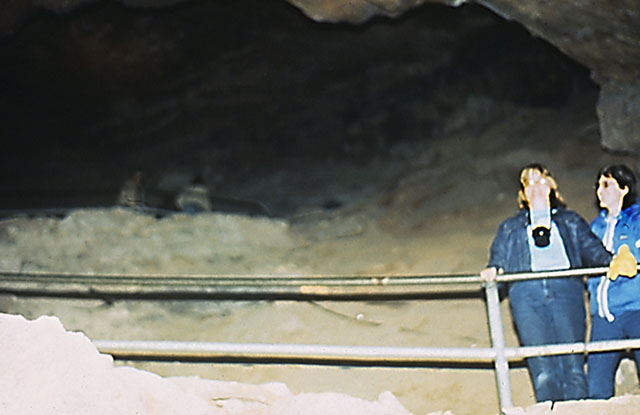 Two people standing behind a railing in a room in Mammoth Cave