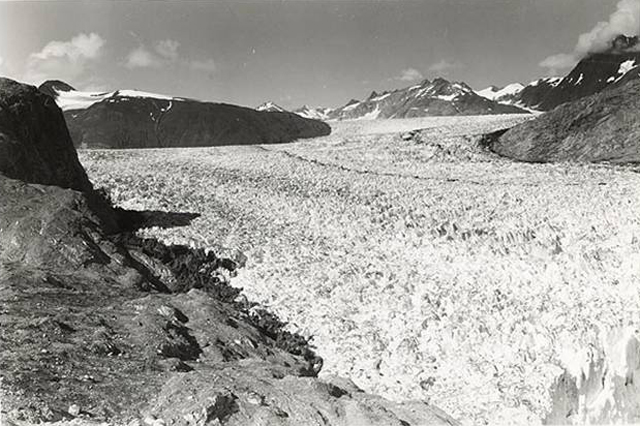 Muir Glacier, Alaska in 1941. Glacier covers most of photo,  no water visible.