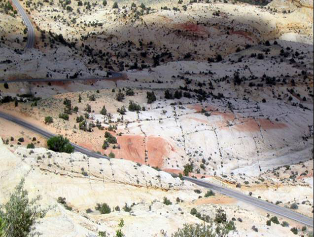 looking down onto the ground at Utah’s Grand Staircase-Escalante National Monument.  The ground is white with a grid pattern of green plants