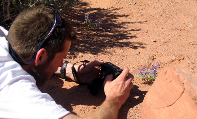 A man photographing a lupine (purple flower) near Double Arch.