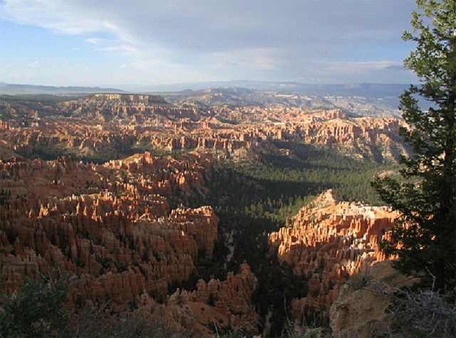 Panoramic view of Bryce Canyon