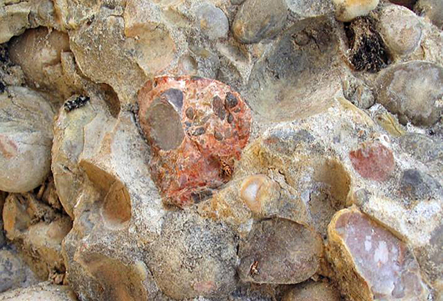 A close up of a rock at Bryce shows river gravels, conglomerates and clasts and sedimentary rocks.