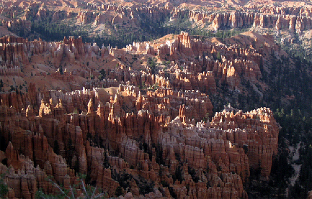 A valley of hoodoos (towers of rock with the harder rocks on top) in Bryce.