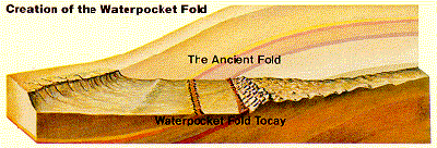Creation of Waterpocket fold, shows the wrinkling