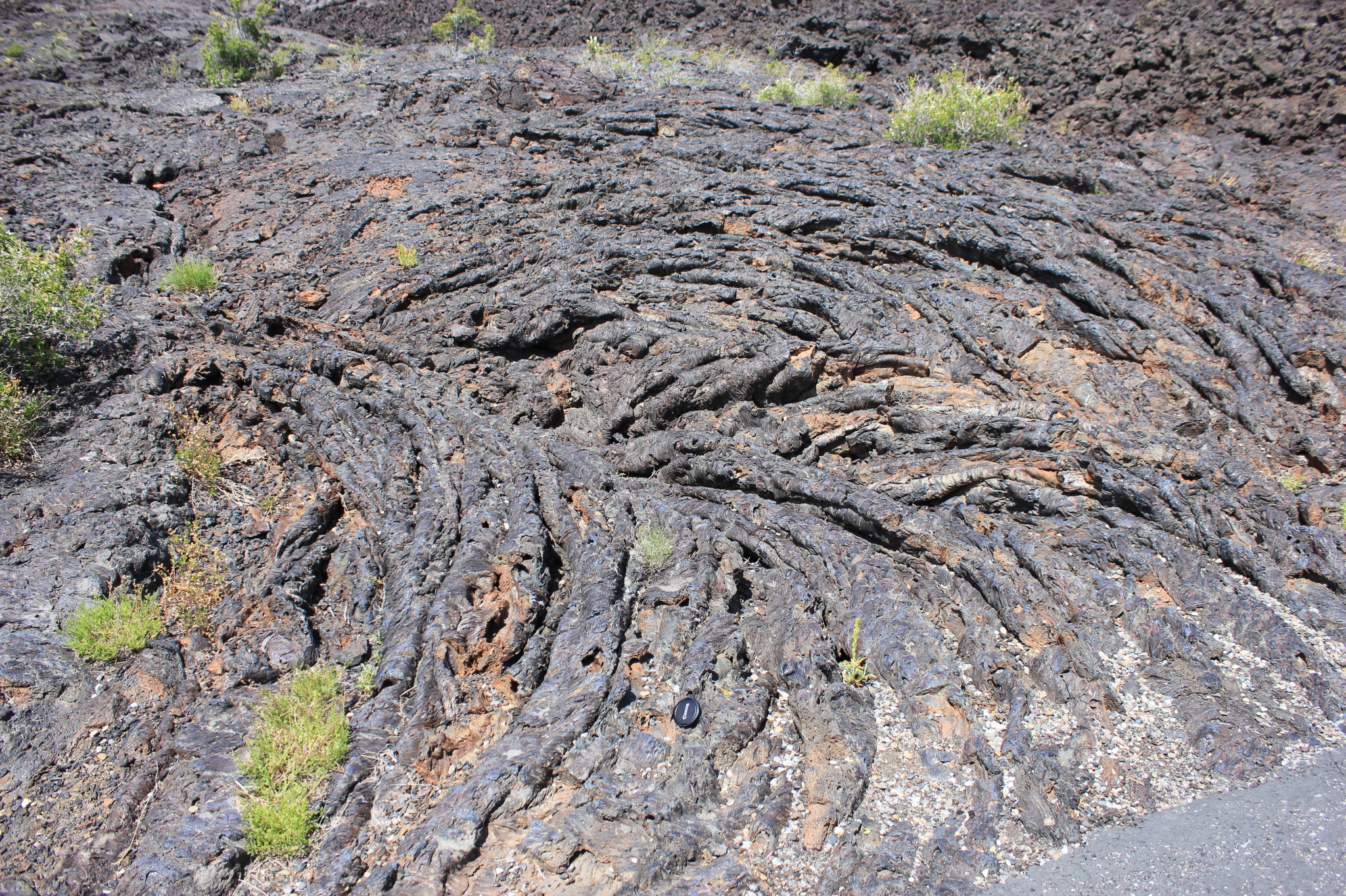 Rocas génicas