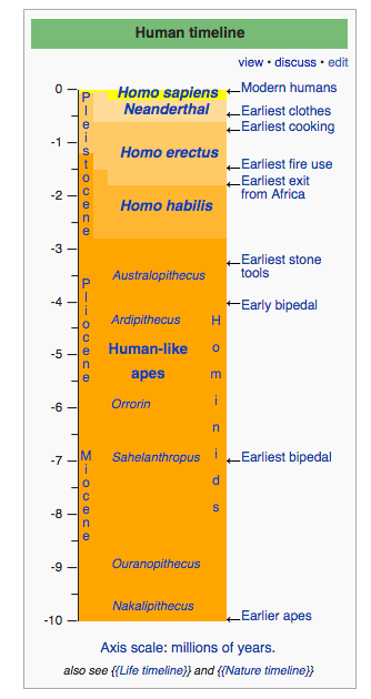 Human timeline over millions of years.