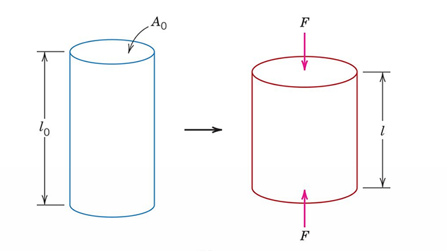 Compressing a cylinder, force pushing on both ends of the cylinder, it gets shorter