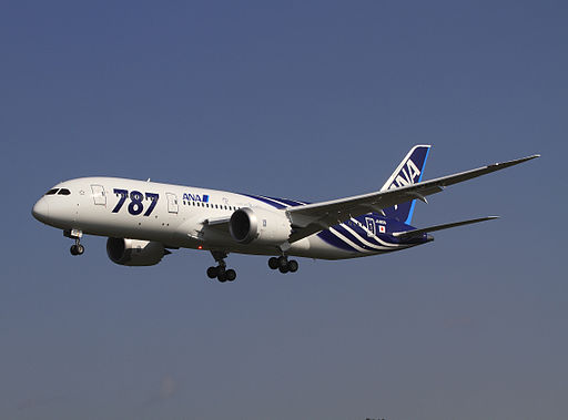 Boeing 787-8 in flight.