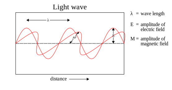  A light wave showing the electric and magnetic components of the wave