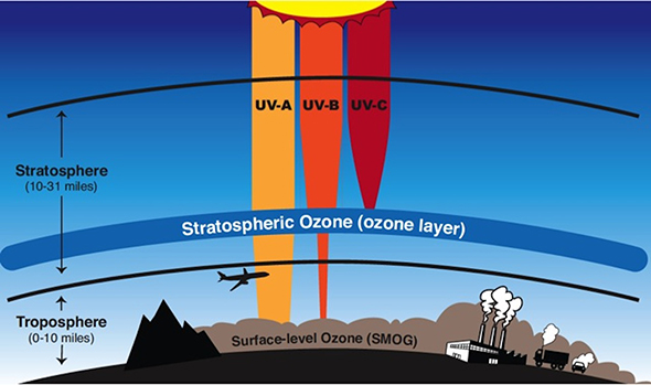 Schematic showing the location of the ozone layer and its role in blocking UV-B radiation from the Earth's surface.