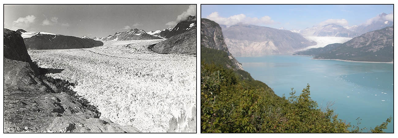 (Left) Photo of Alaska's Muir Glacier in 1941. (Right) Photo of the glacier in 2004.