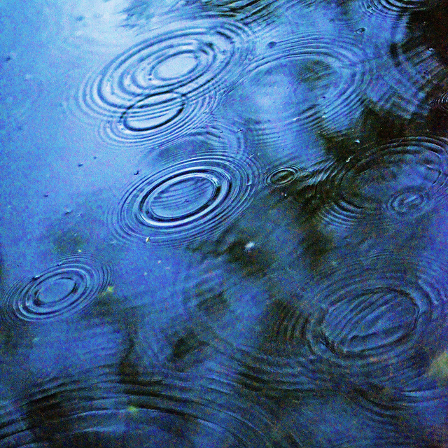 Photograph of ripples on a pond