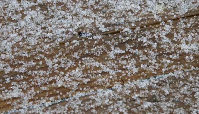 A photograph of small, round sleet pellets covering the surface of a deck. 