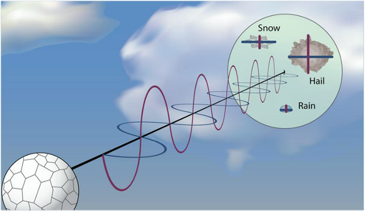 Schematic of dual polarization radar waves