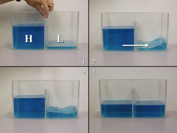 A series of images from an experiment showing water flows from a higher column to a lower one.