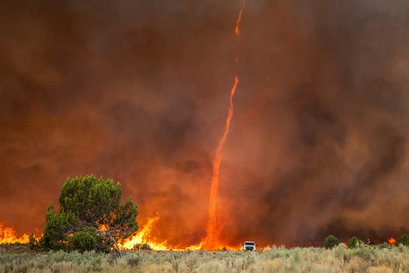 Photograph of a fire whirl.