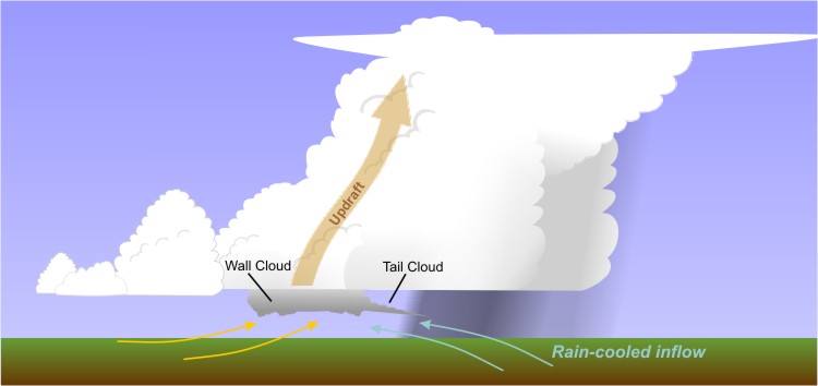 Schematic showing the formation of a wall cloud as rain-cooled air gets drawn into the updraft of a supercell.