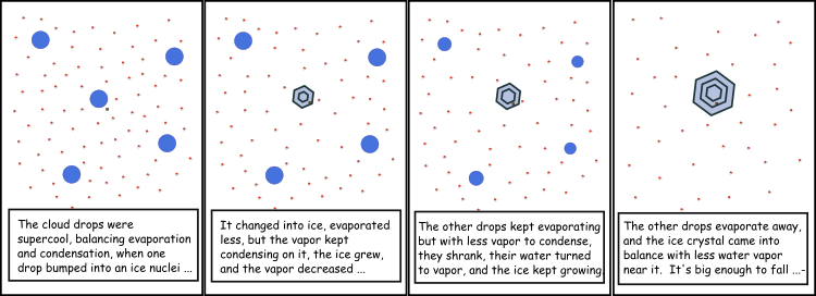 Cartoon of ice growth in the presence of supercooled liquid drops. See link in caption for text description