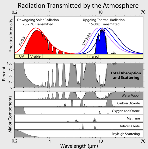 Höchste Intensität im sichtbaren Bereich, zweiter kleinerer Peak im Infrarotbereich. % Absorption höher im UV und geringer im Infrarot