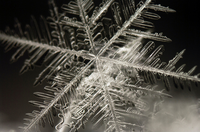 close up view of a snowflake