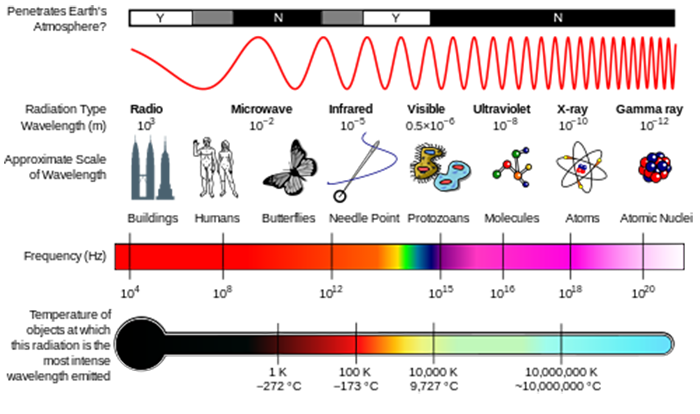 wave size-radio: building, microwave: butterfly, infrared: needle, visible: protazoa, ultraviolet: molecule, x-ray: atoms, gamma: nucleus