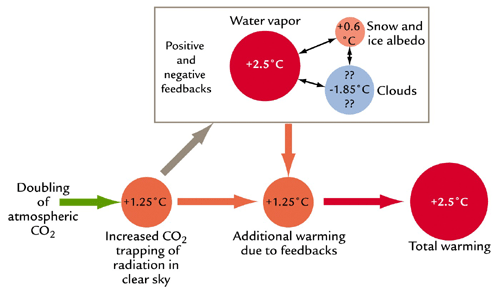 doubling of atmospheric co2 leads 2 +2.5*C warming from trapping of radiation in clear sky +1.25C & feedback from H2O in clouds/snow +1.25C 