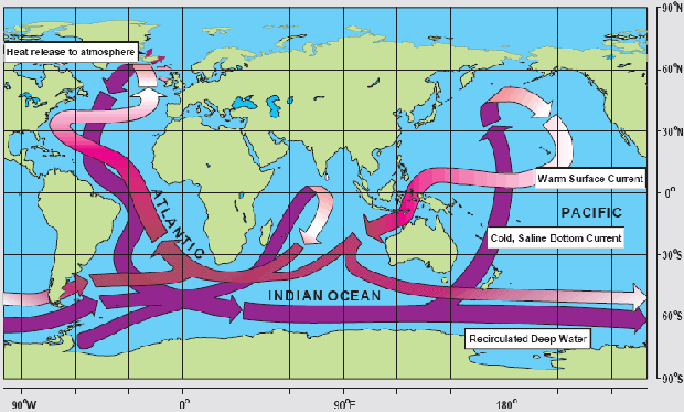 World map showing water flows. Cold water up into pacific warm current out, warm current up the atlantic cold current down
