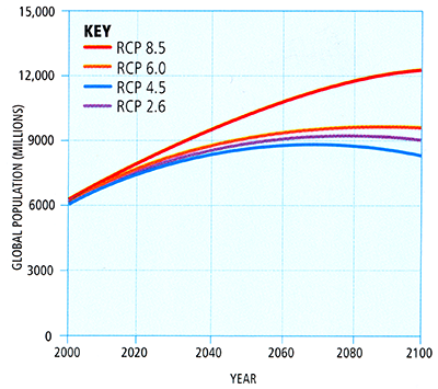 Graph showing possible future global population