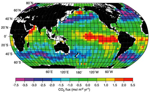 Ocean CO2 fluxes: positive numbers indicate flux out of the ocean.