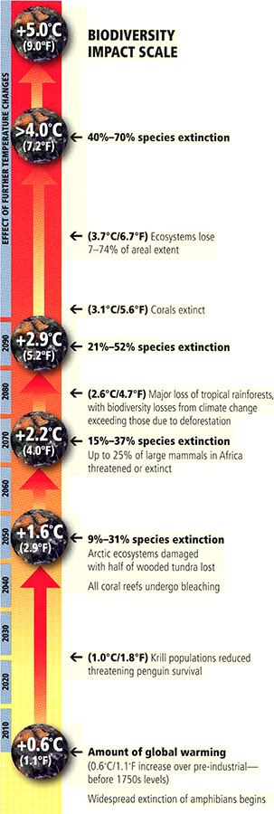 Biodiversity Impact Scale, explained in caption