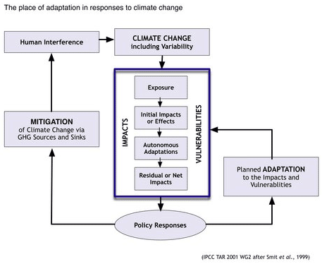 Flow Chart of adaptation and mitigation of Climate Change