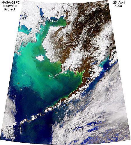 NASA/GSFC SeaWIFS Project, 25 April 1998 showing a satellite image