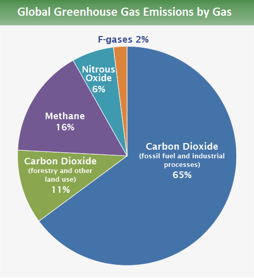 China's Non-CO2 Greenhouse Gas Emissions: Future Trajectories and  Mitigation Options and Potential