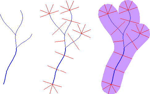 Illustration showing construction of a
100-meter buffer polygon around a stream