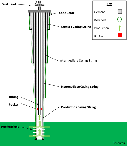 Schematic showing how a well typical vertical well casings taper from a wide surface casing at the top to a narrow production casing at the bottom.