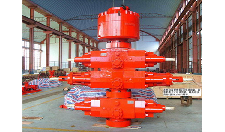 Blowout Preventer described in the text.