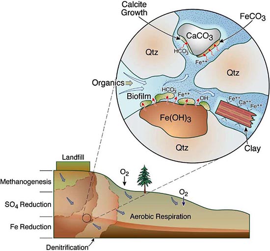 Schematic representation of the oxidation-reduction zones that may develop in an aquifer- see caption