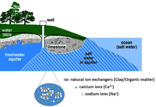 Intrusion of seawater into the costal aquifer, see image caption