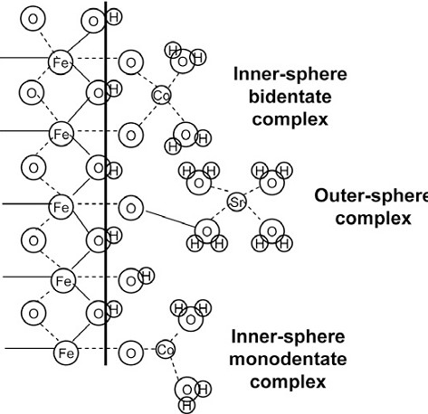 Schematic illustration of the formation of inner-sphere and outer-sphere complexes at the solid–solution interface