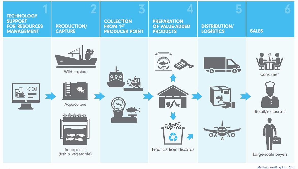 Diagram of Seafood Supply Chain, see text description in link below