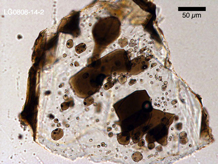Melt inclusions in a plagioclase crystal, looks like bits of brown glass inside clear glass