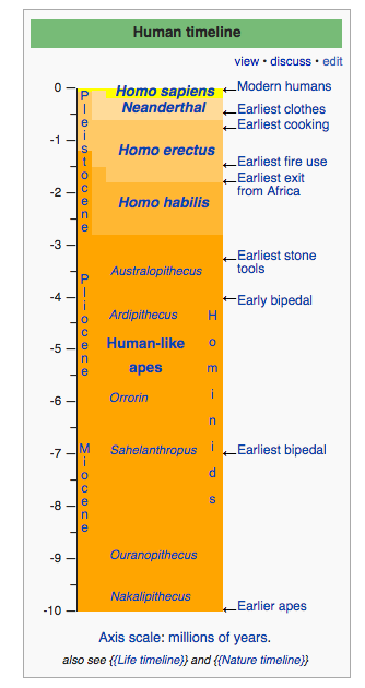 Human timeline over millions of years