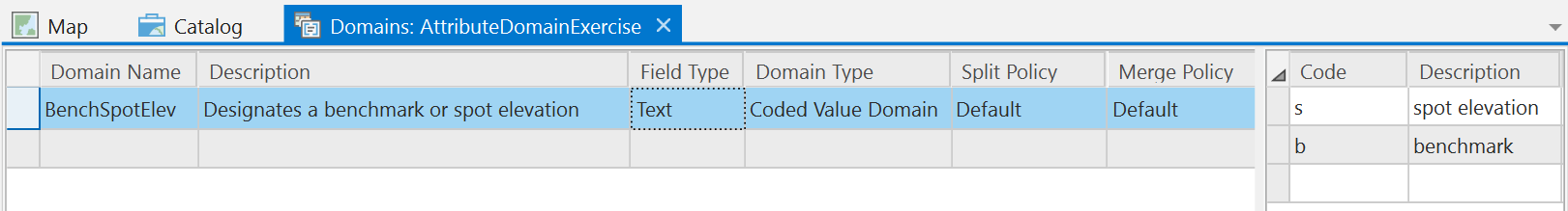 Screen capture of the Domains tab showing configuration of the BenchSpotElev coded value domain as described above