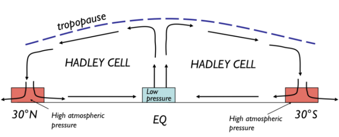 Hadley cell: Described in text below. Low pressure @ equator, air rises, moves toward 30*, descends at High pressure, goes to poles or to equator